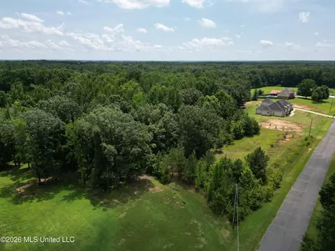 Summer Oaks Drive, Lamar, MS 38642 photo 5