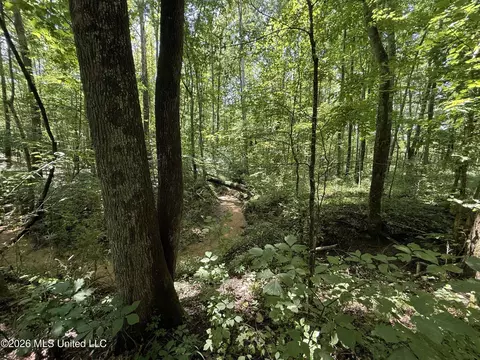 Summer Oaks Drive, Lamar, MS 38642 photo 11