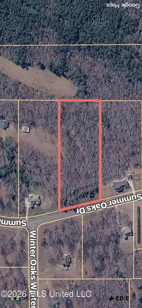 Summer Oaks Drive, Lamar, MS 38642 photo 2