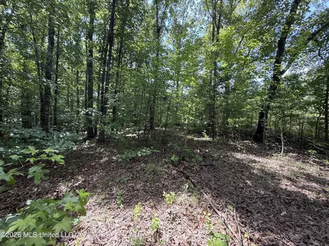 Summer Oaks Drive, Lamar, MS 38642 photo 9