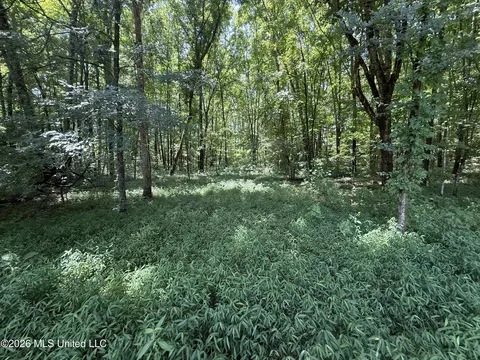 Summer Oaks Drive, Lamar, MS 38642 photo 10