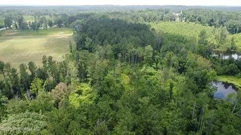 Ms-35, Columbia, MS 39429 photo 4