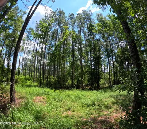 Ms-35, Columbia, MS 39429 photo 19