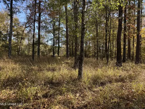 Rosemary Road, Florence, MS 39073 photo 5