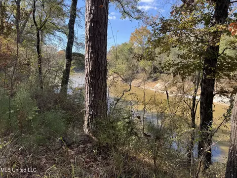 Rosemary Road, Florence, MS 39073 photo 2