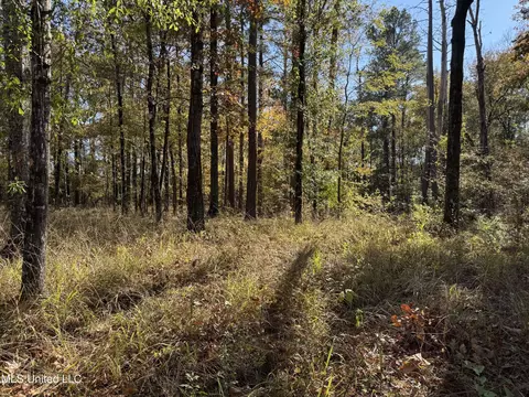 Rosemary Road, Florence, MS 39073 photo 4
