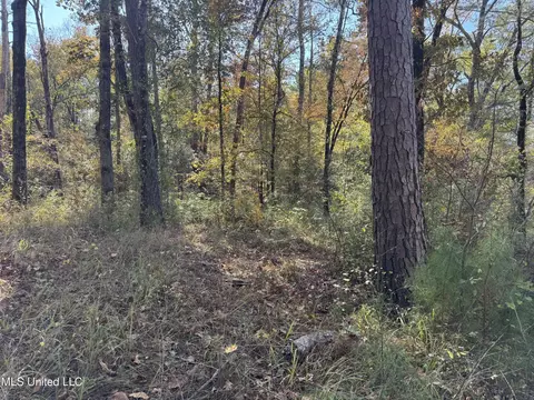 Rosemary Road, Florence, MS 39073 photo 3