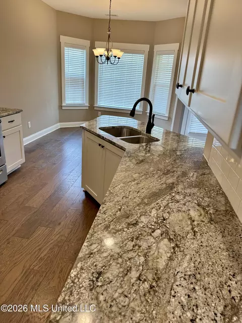708 Holiday Cv, Hernando, MS 38632 photo 11