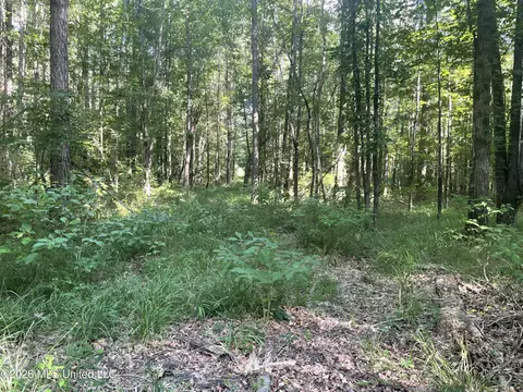 444 Jims Rd, Lena, MS 39094 photo 17
