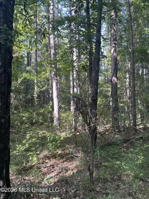 444 Jims Rd, Lena, MS 39094 photo 7