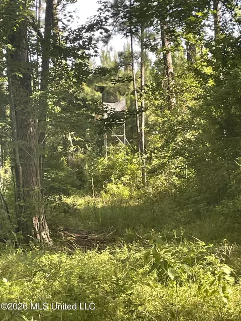 444 Jims Rd, Lena, MS 39094 photo 5