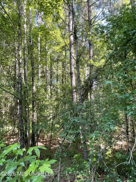 444 Jims Rd, Lena, MS 39094 photo 14