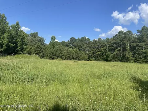 444 Jims Rd, Lena, MS 39094 photo 3