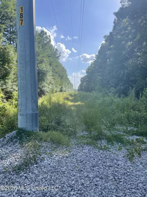 444 Jims Rd, Lena, MS 39094 photo 2
