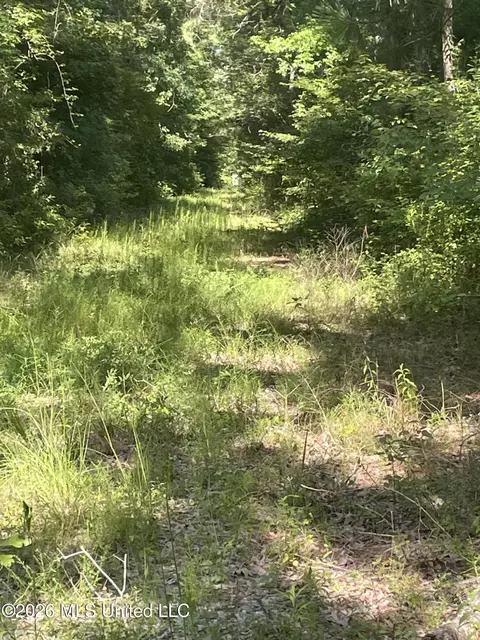 444 Jims Rd, Lena, MS 39094 photo 24