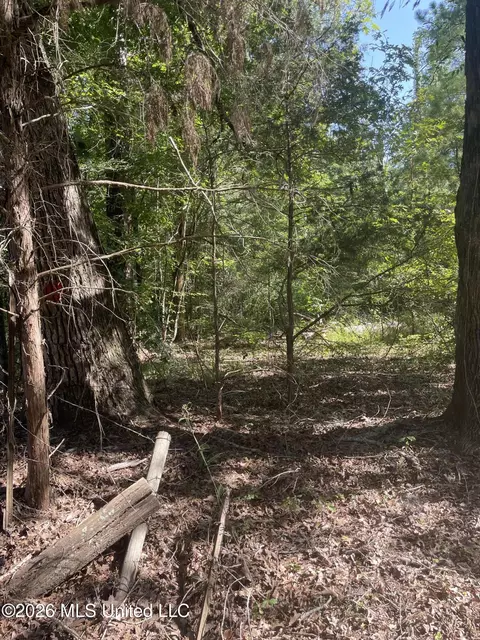 444 Jims Rd, Lena, MS 39094 photo 15