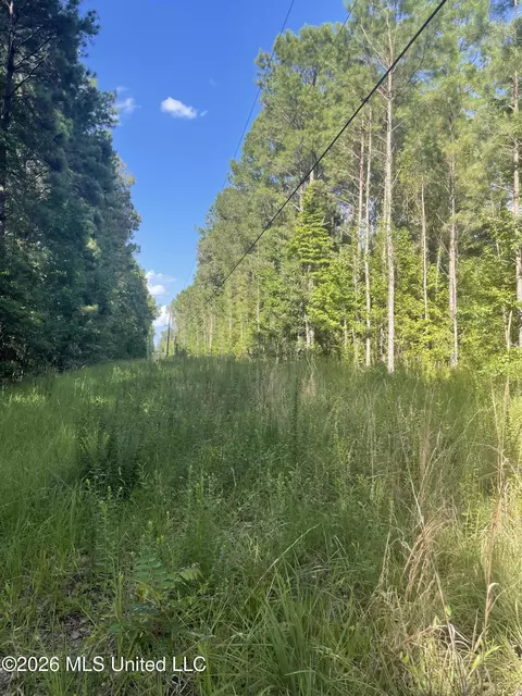 444 Jims Rd, Lena, MS 39094 photo 11