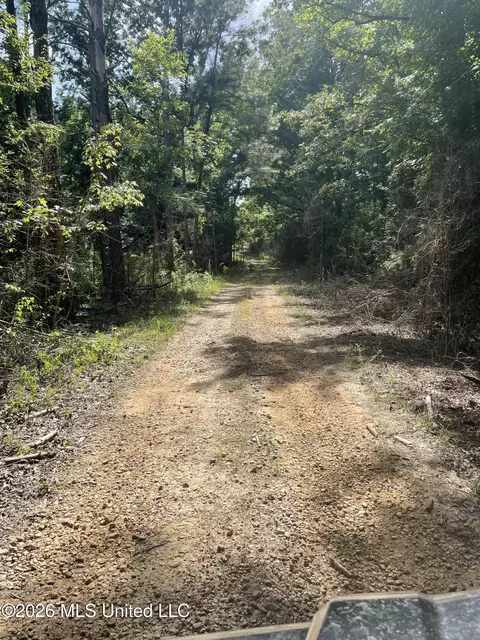 444 Jims Rd, Lena, MS 39094 photo 16