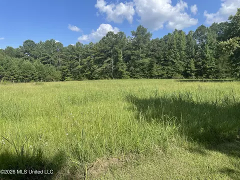 444 Jims Rd, Lena, MS 39094 photo 21