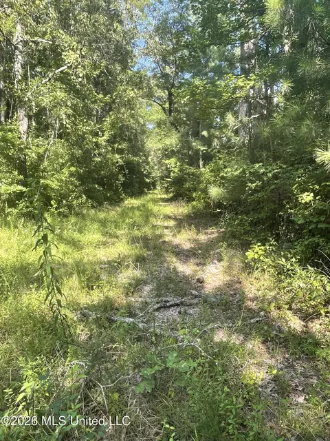 444 Jims Rd, Lena, MS 39094 photo 18