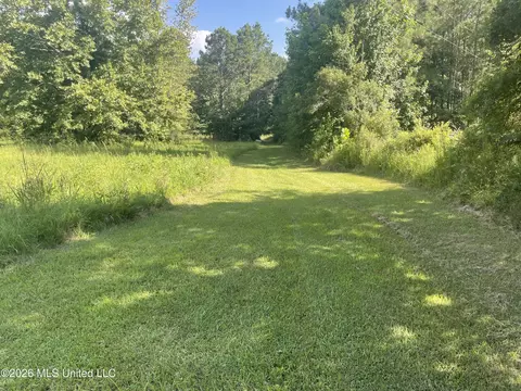 444 Jims Rd, Lena, MS 39094 photo 4