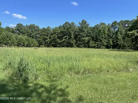 444 Jims Rd, Lena, MS 39094 photo 22