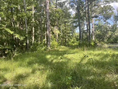 444 Jims Rd, Lena, MS 39094 photo 23