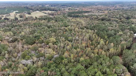 Remus Road, Carthage, MS 39051 photo 2