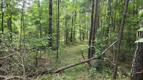 . Neal Posey Road, Mccall Creek, MS 39647
