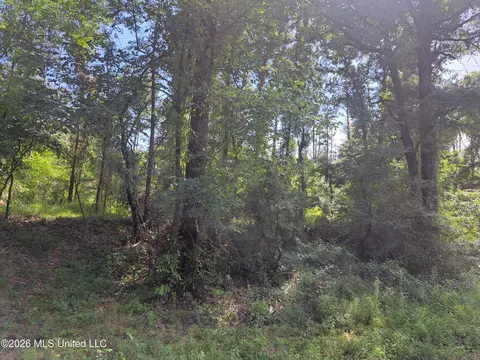 12 Oaks Trce, Canton, MS 39046 photo 4