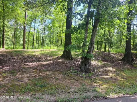 12 Oaks Trce, Canton, MS 39046 photo 6