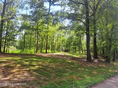 12 Oaks Trce, Canton, MS 39046 photo 3