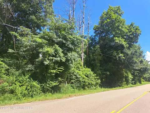 12 Oaks Trce, Canton, MS 39046 photo 5