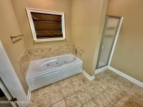 Bath - 307 Springhill Pt, Brandon, MS 39047 photo 3 of 3