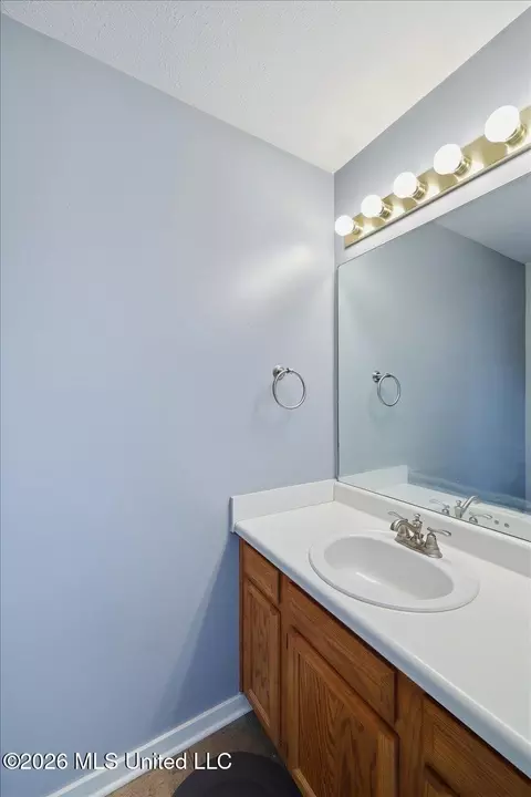 Bath - 330 Audubon Cir, Brandon, MS 39047 photo 1 of 2