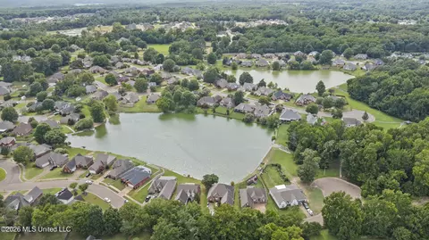 View/Area - 1211 E Cross Creek Dr, Hernando, MS 38632 photo 6 of 6