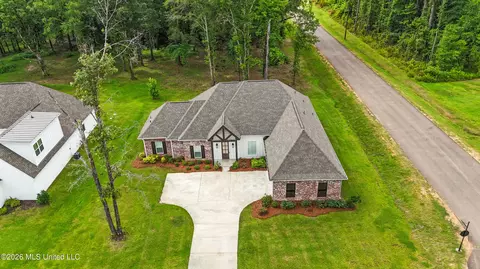 View/Area - 1175 Sanctuary Dr, Brandon, MS 39042 photo 1 of 1
