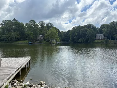 View/Area - 3696 Councils Ford Cv, Hernando, MS 38632 photo 4 of 5