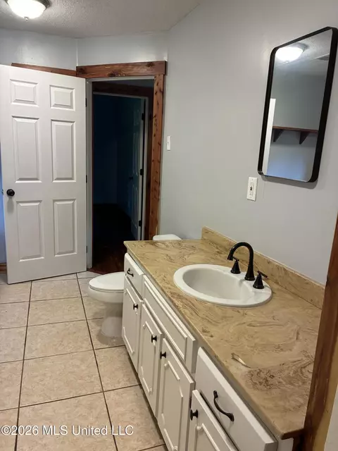 Bath - 3696 Councils Ford Cv, Hernando, MS 38632 photo 2 of 3
