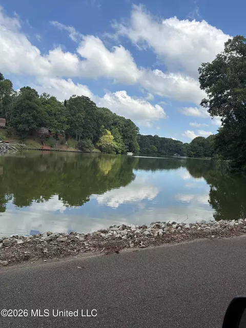 View/Area - 3696 Councils Ford Cv, Hernando, MS 38632 photo 2 of 5