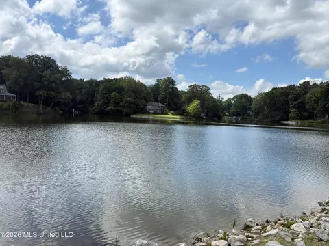 View/Area - 3696 Councils Ford Cv, Hernando, MS 38632 photo 3 of 5