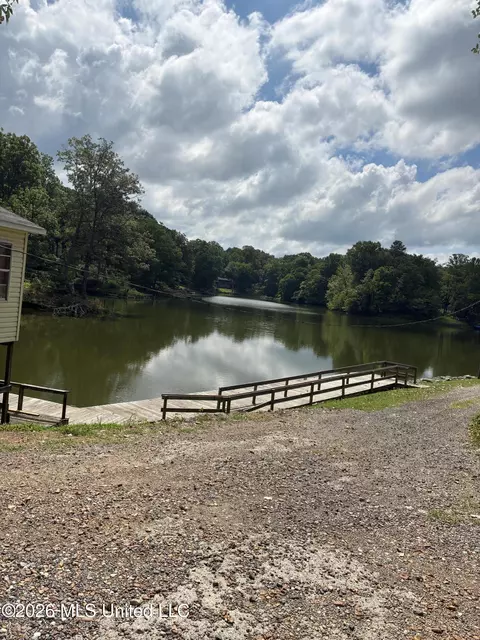 View/Area - 3696 Councils Ford Cv, Hernando, MS 38632 photo 1 of 5