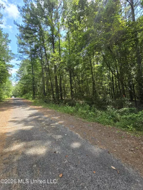 Scott Street, Brandon, MS 39042 photo 3