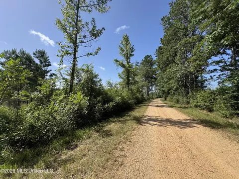 32 Sauls Rd # A, Ruth, MS 39662 photo 11