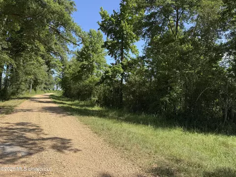 32 Sauls Rd # A, Ruth, MS 39662 photo 13