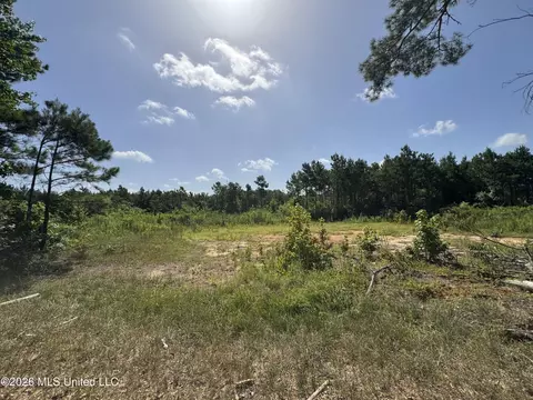 32 Sauls Rd # A, Ruth, MS 39662 photo 12
