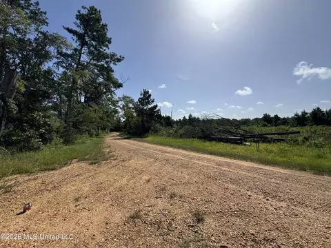 32 Sauls Rd # A, Ruth, MS 39662 photo 7