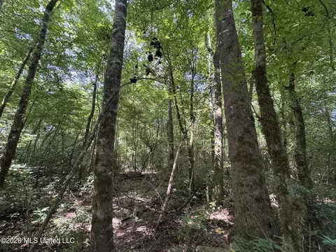 32 Sauls Rd # A, Ruth, MS 39662 photo 18