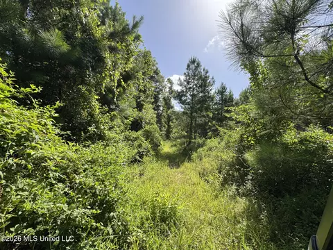 32 Sauls Rd # A, Ruth, MS 39662 photo 15