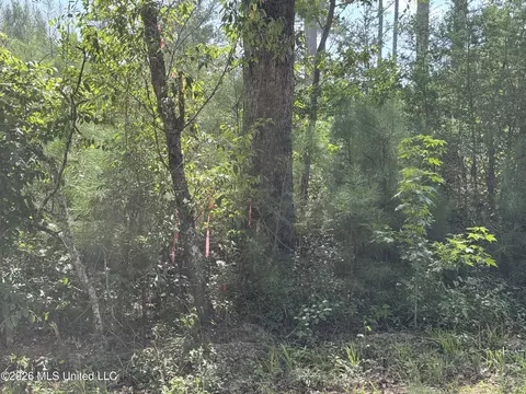 32 Sauls Rd # A, Ruth, MS 39662 photo 8